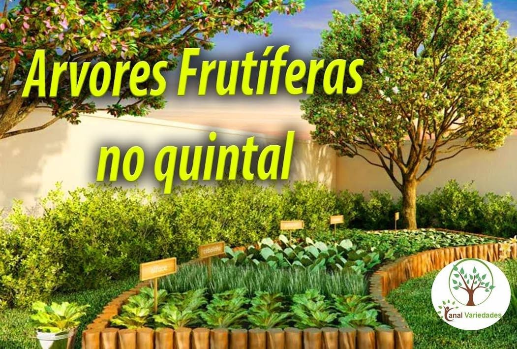 Mudas Frutíferas Nova Matão