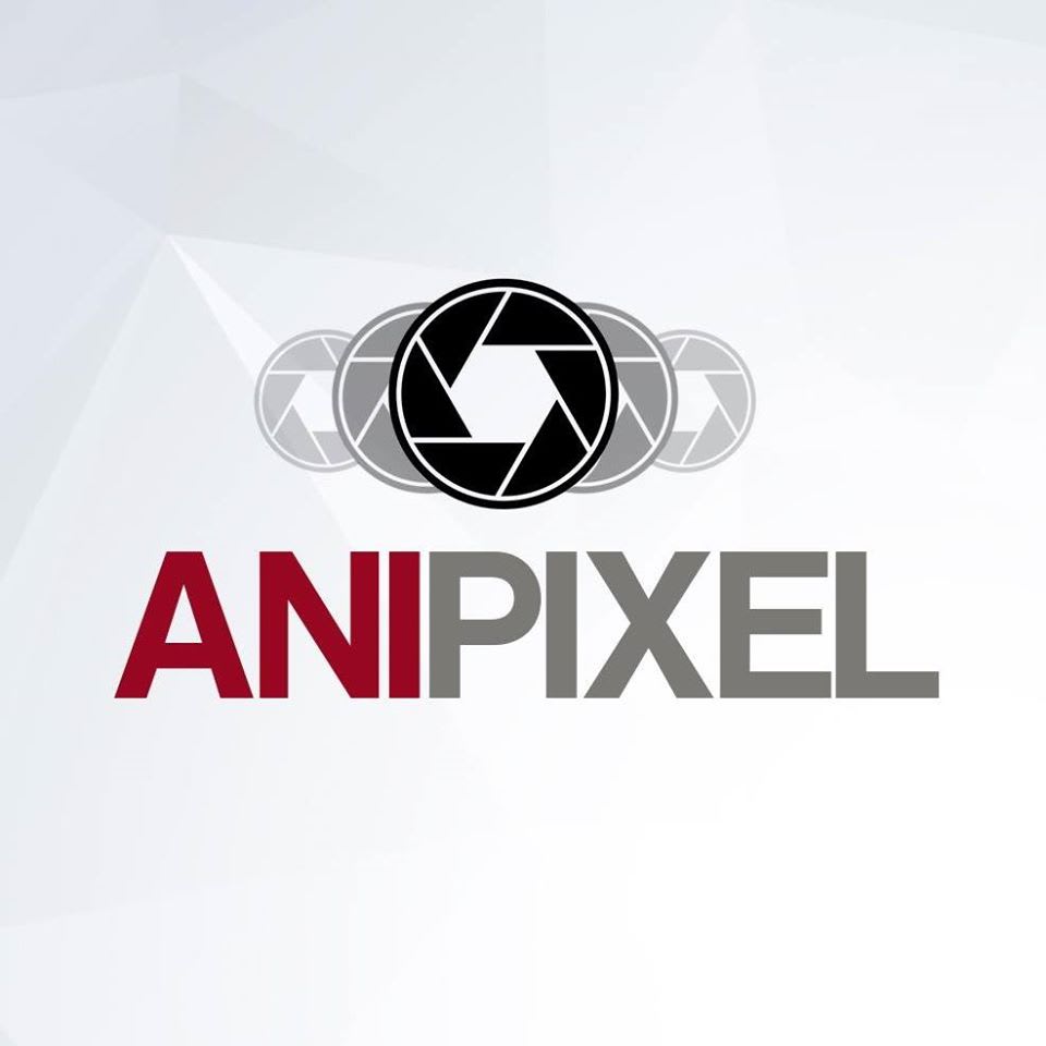 Anipixel Brasil