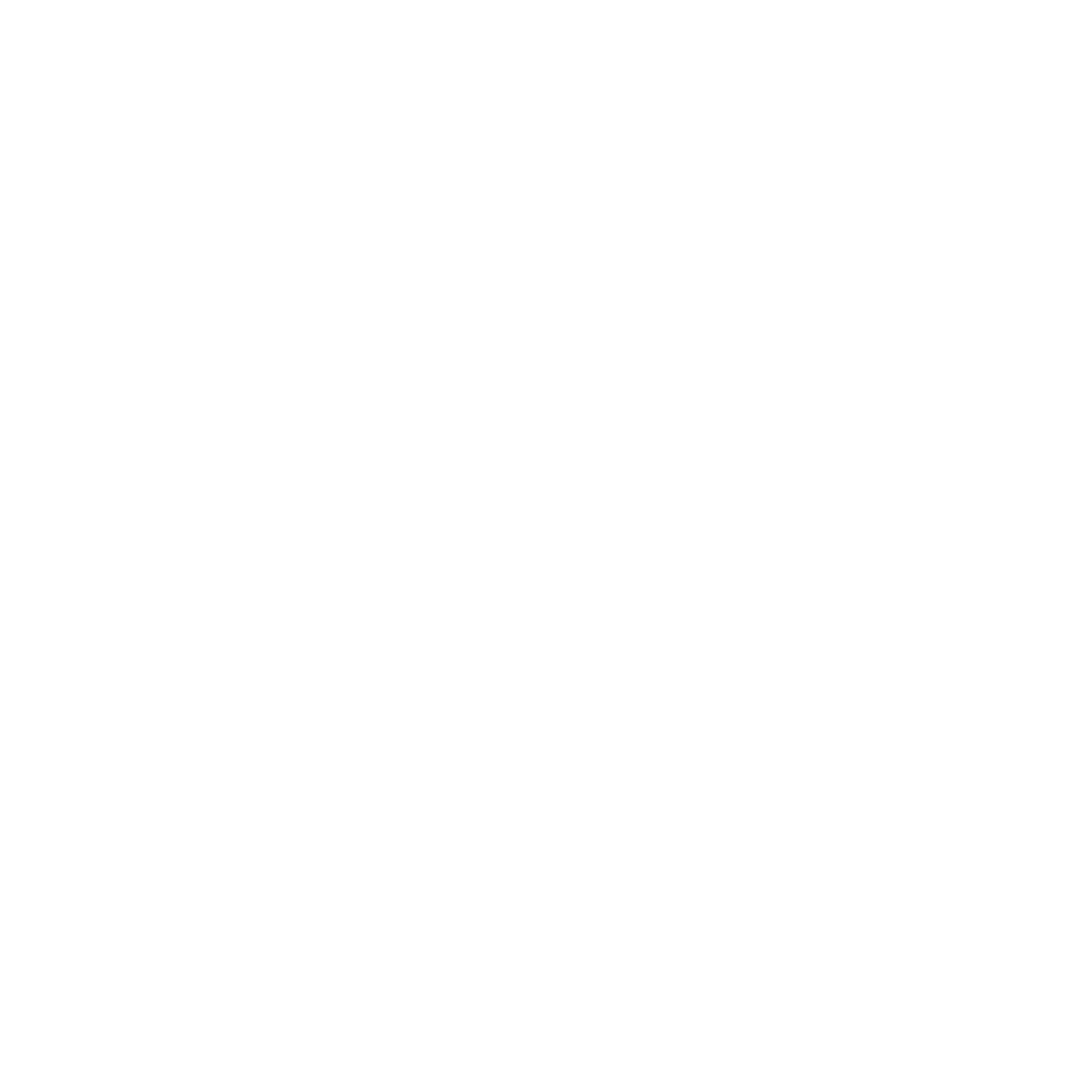 Southern Screen Prints