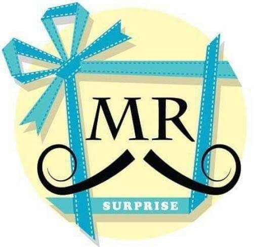 Mr Surprise