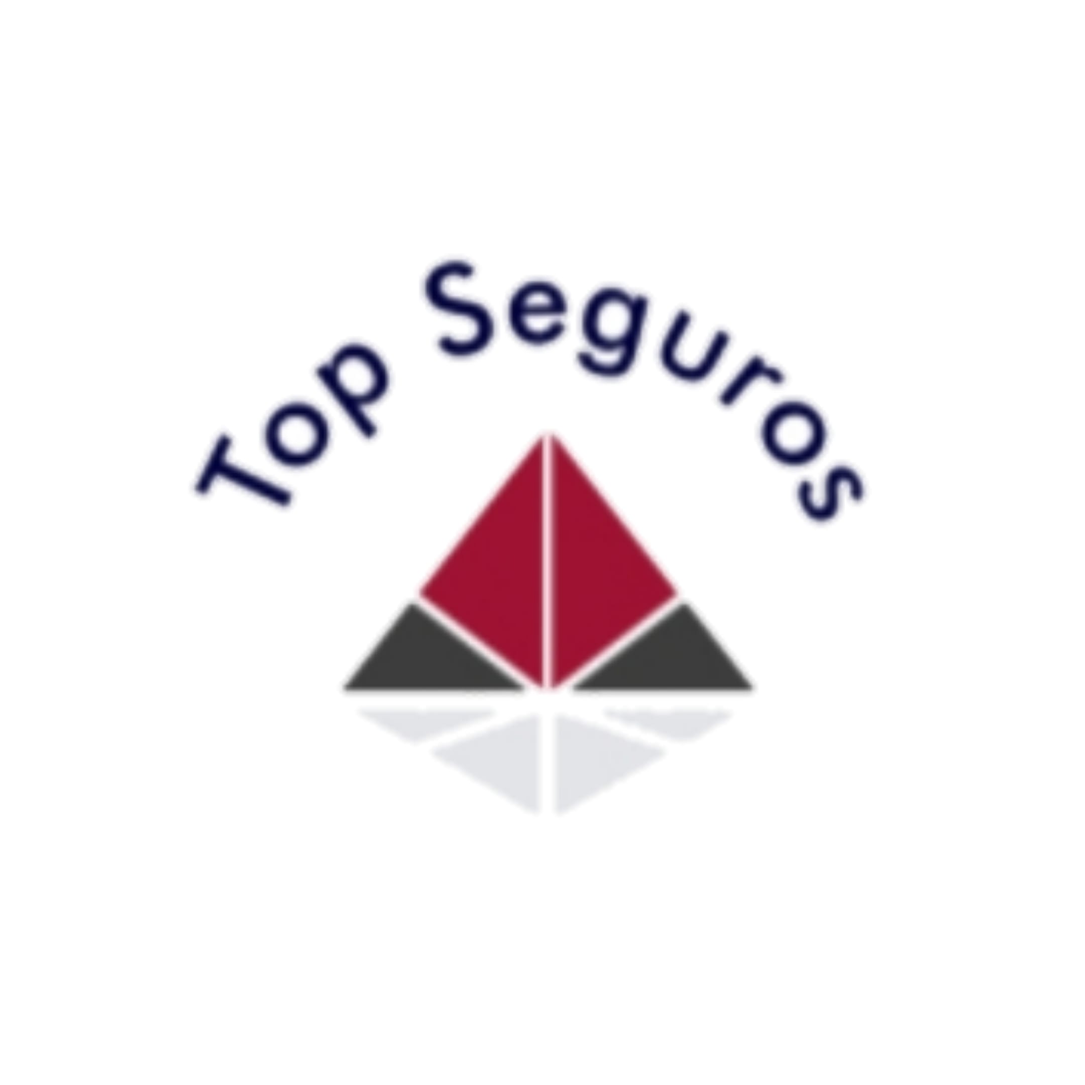 Top Seguros