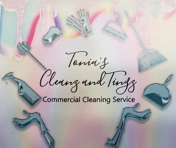 Tonia's Cleanz and Tingz Cleaning Service