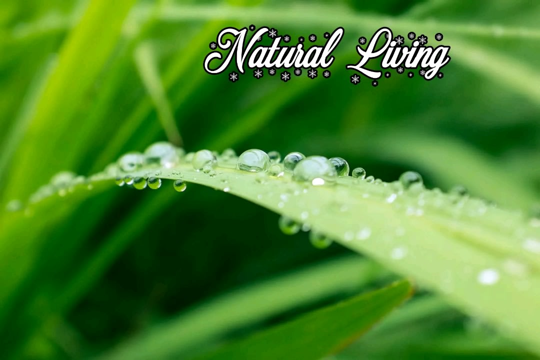 Natural Living