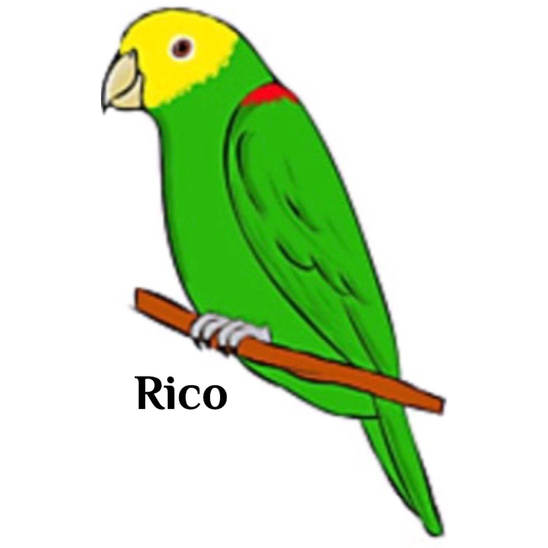 Rico’s House