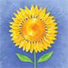 Campbell Garden Services