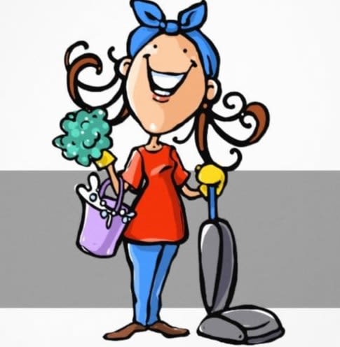 2 Ladies Cleaning Services