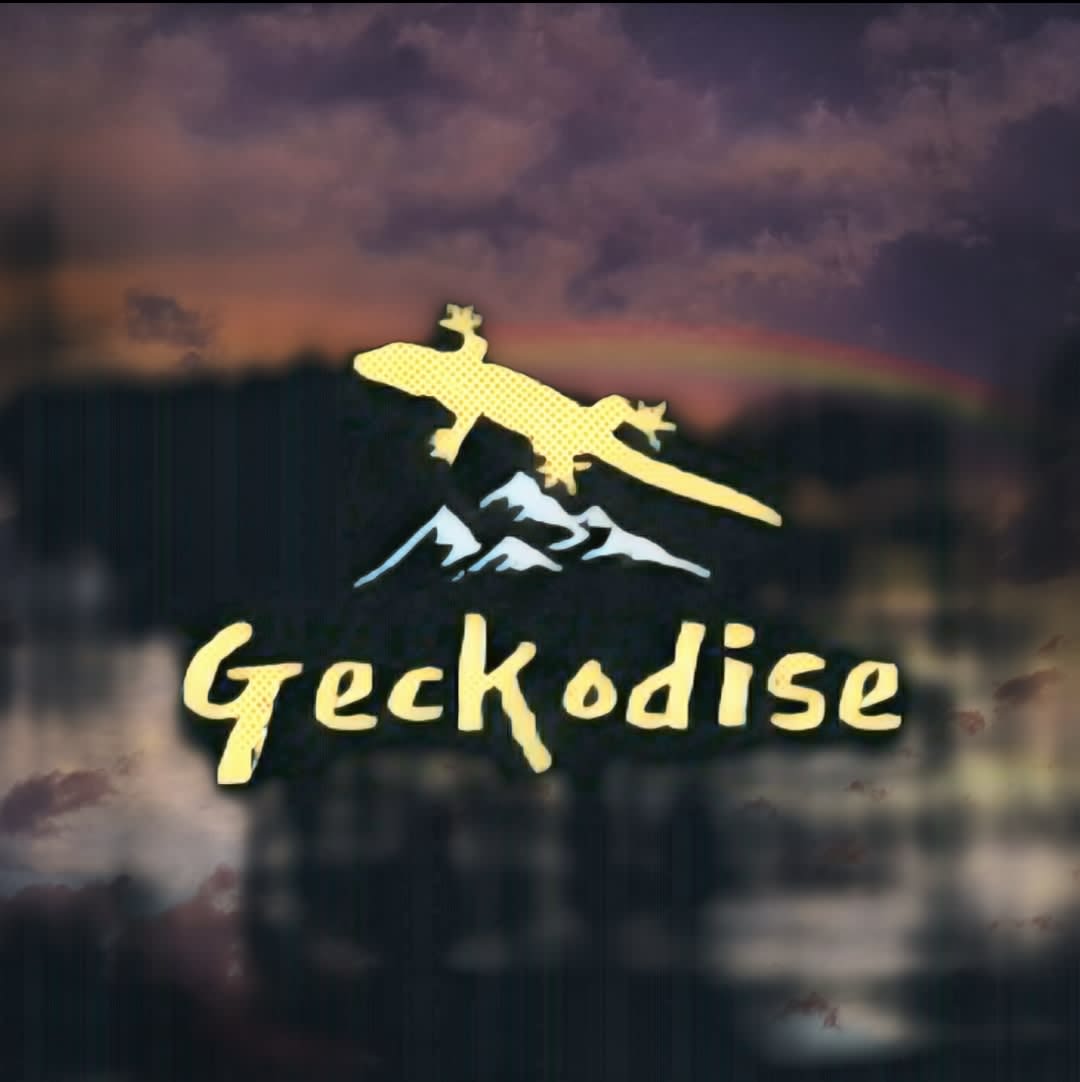 Geckodise
