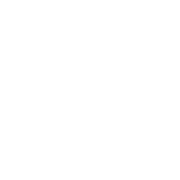 Servicio Eléctrico Automotriz "Lalo"