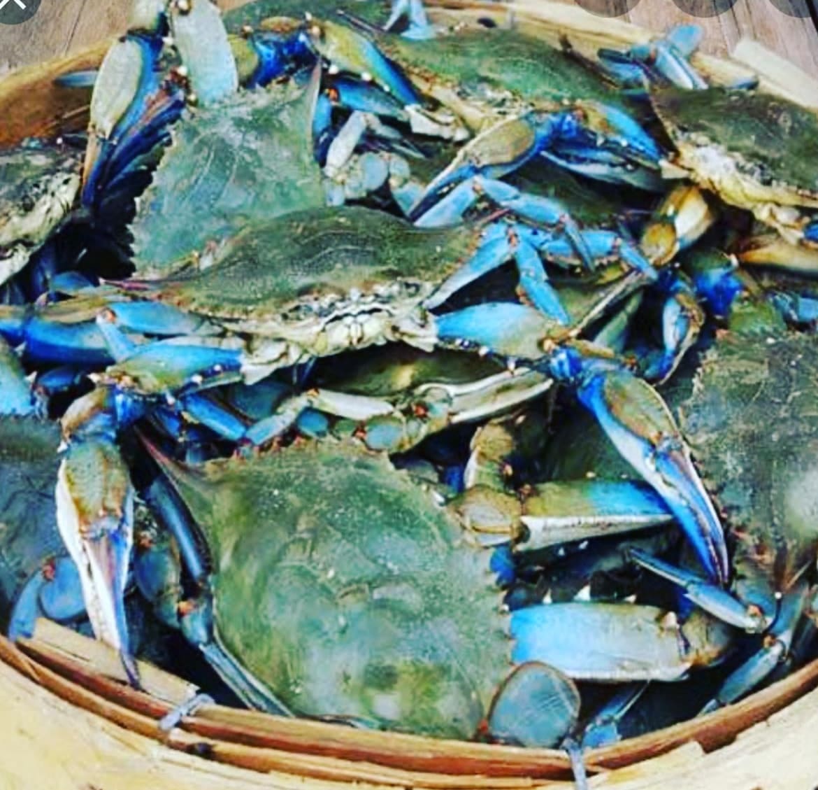 blue crab shack blue crab shack