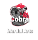 Cobra Martial Arts West Bromwich