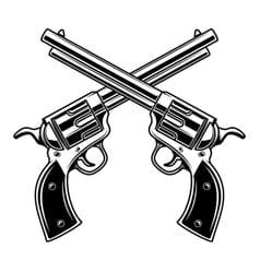 2 Guns Auto Customs & Recovery, LLC