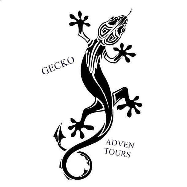 Gecko Adventures