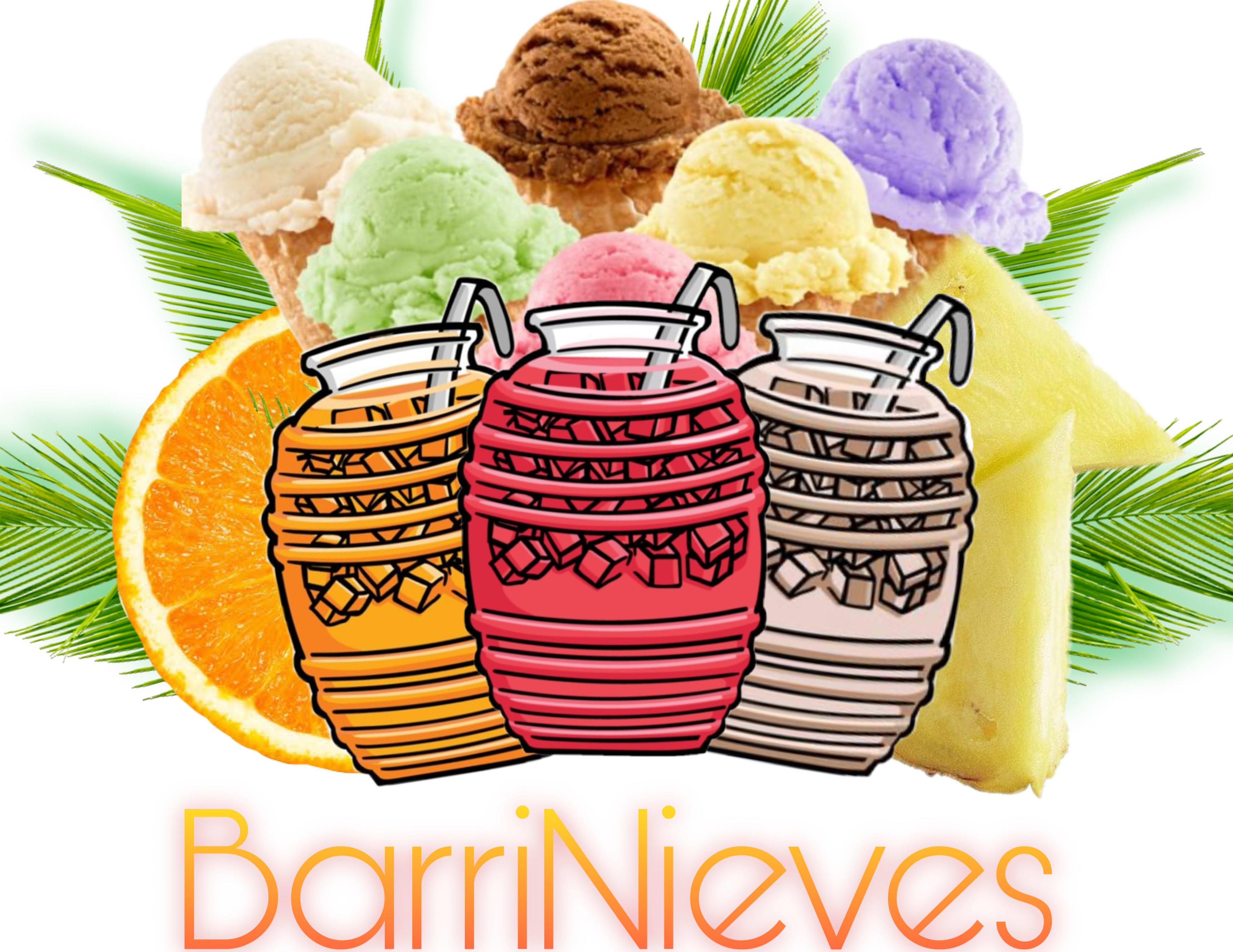 BarriNieves