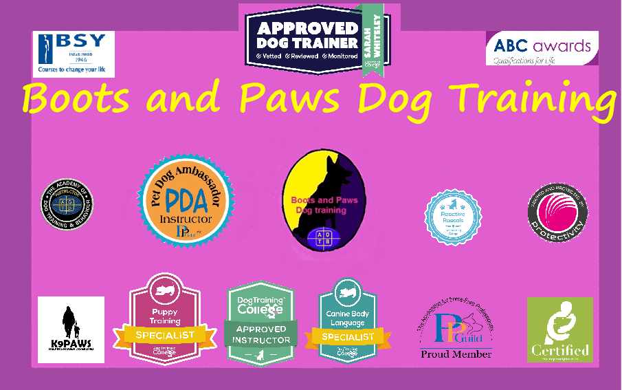 Boots and Paws Dog Training | Dog Training in Nottinghamshire