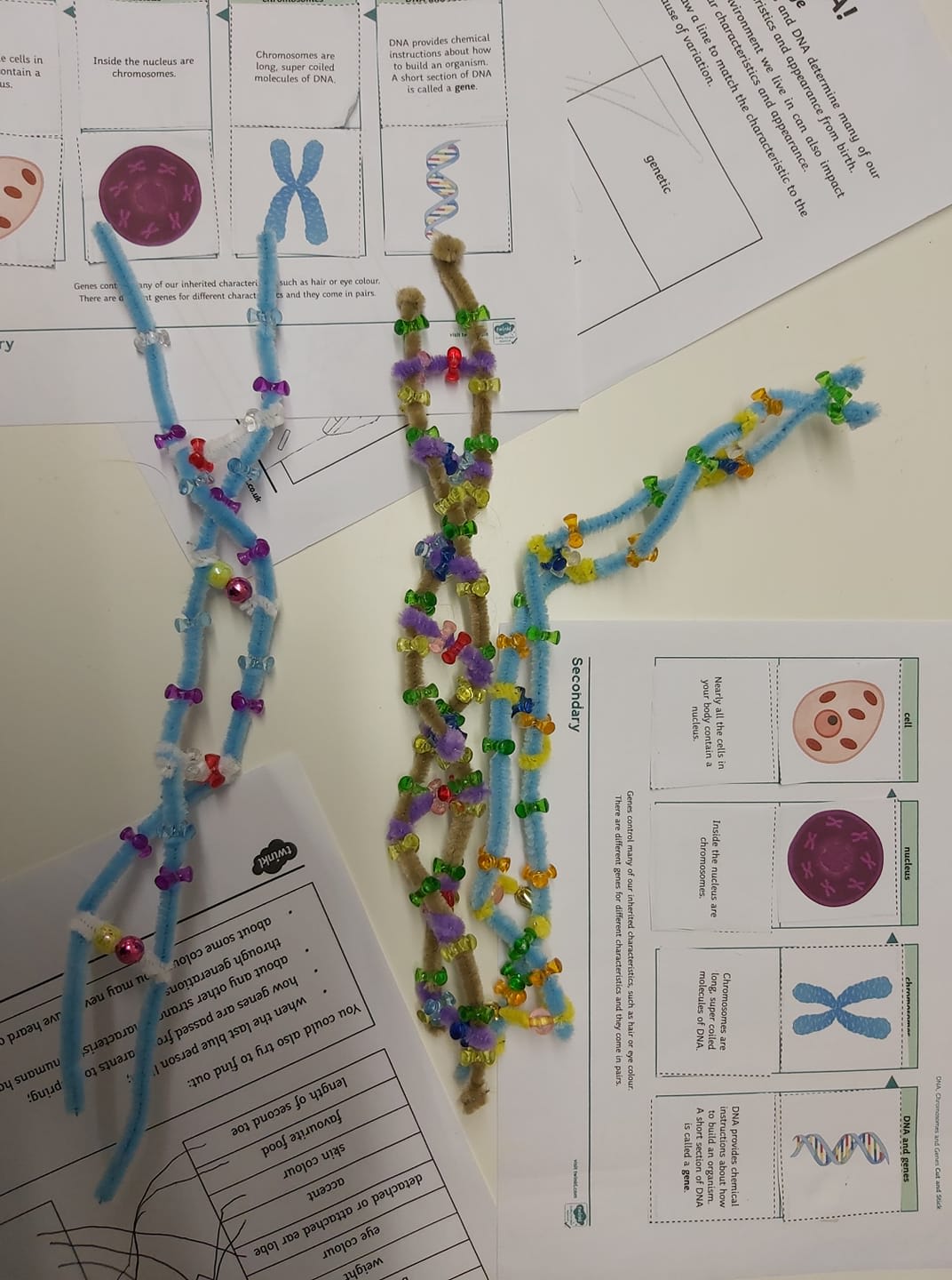 Biology 2 Microscopes and Calculating Magnification GCSE Science