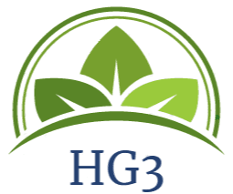 HG3 Property Maintenance