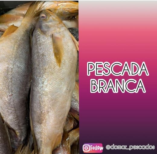 Pescada Branca Inteira - Peixes & Frutos do Mar - Domar Pescados