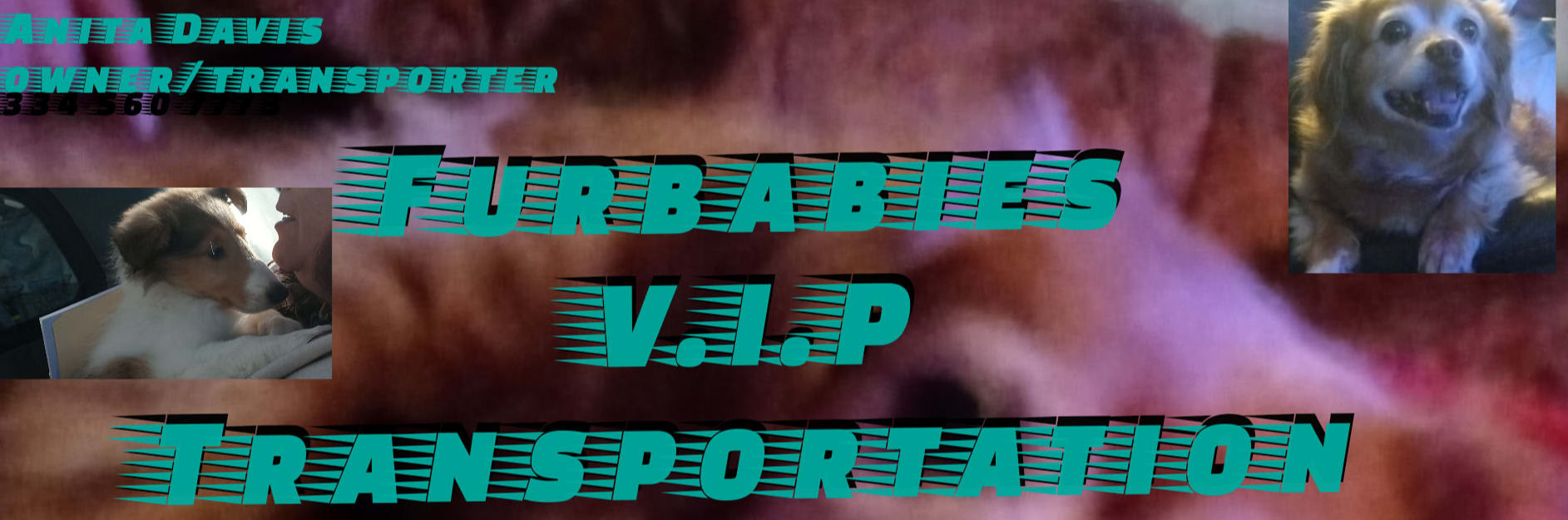 Furbabies VIP Transportation