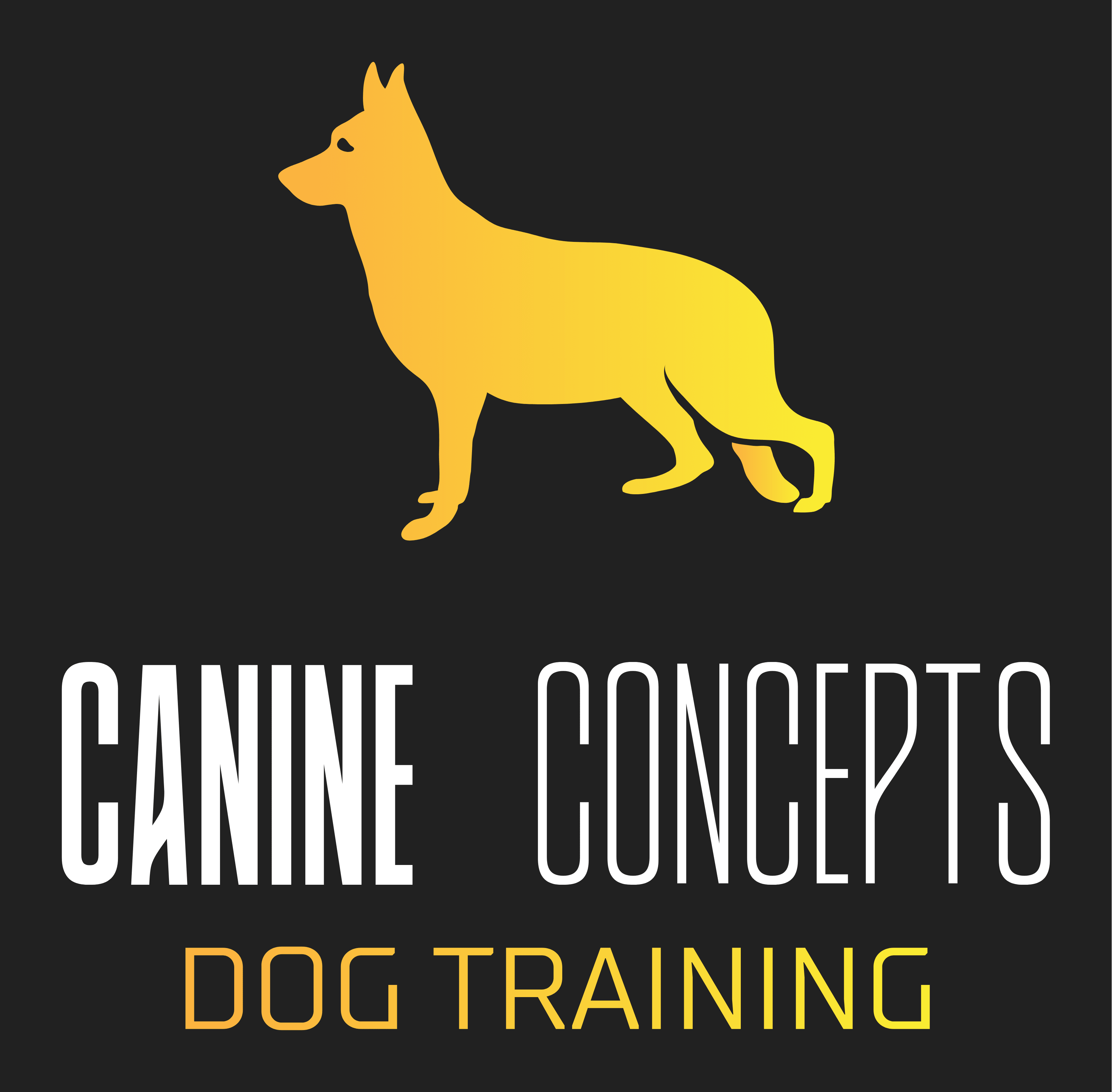 Canine Concepts Best Dog Training in Kirkcaldy