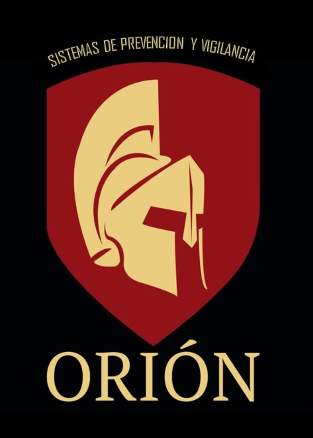 ORION SEGURIDAD