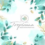 K2 Afro Tropicana