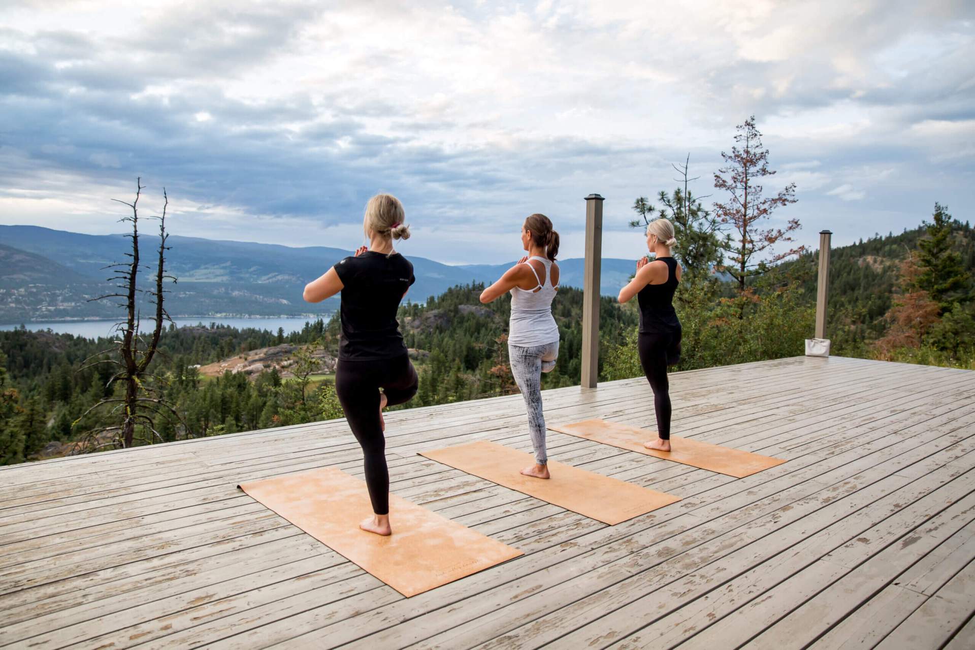 Yoga Retreats, Predator Ridge