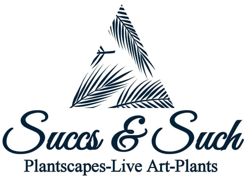 Succs and Such