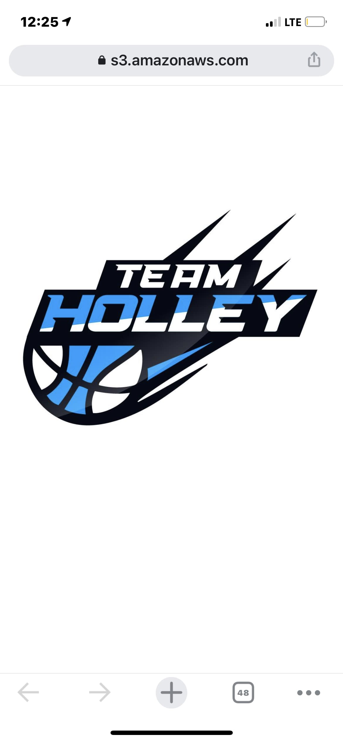 Teamholleybasketball