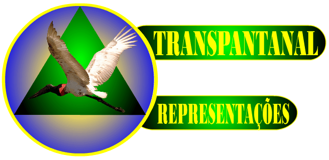 Transpantanal Representações