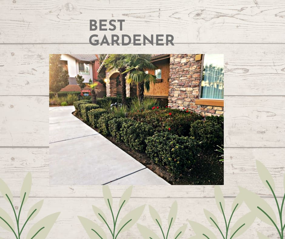 Gardener Lawn Care MowTown Lawn Care & CleanOut Services