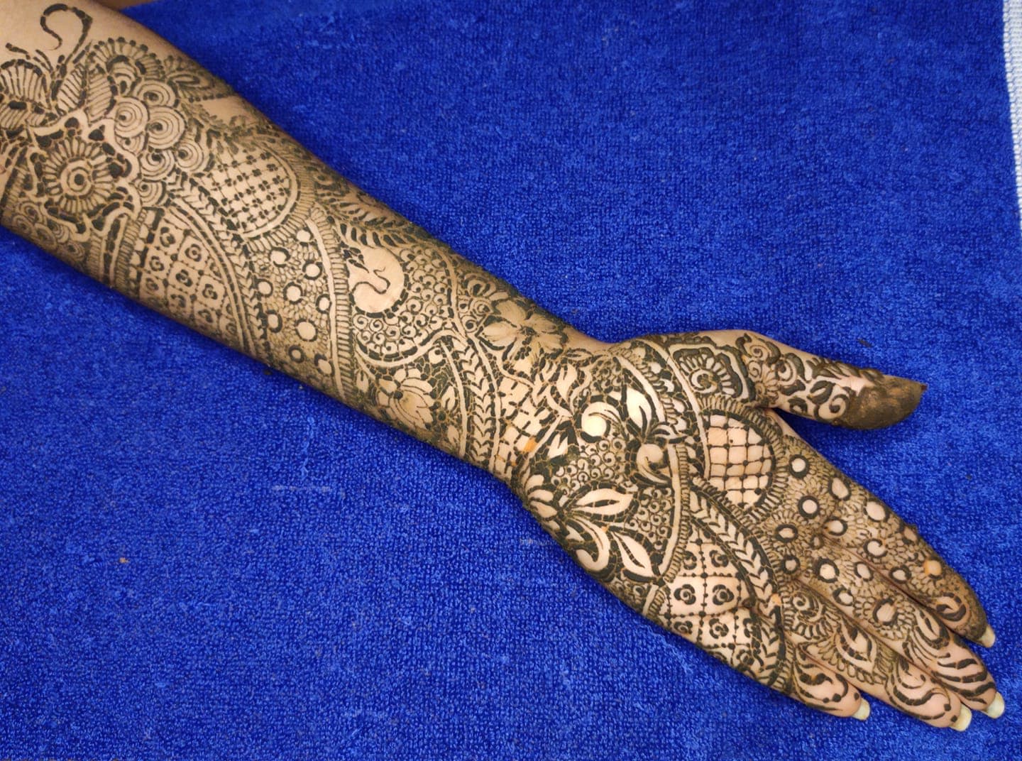 Simple Stylish Full Hand Peacock Mehndi Design for Hands - S अक्षर से  मेहँदी बनाना सीखे - YouTub… | Simple mehndi designs, Circle mehndi designs,  Mehndi art designs