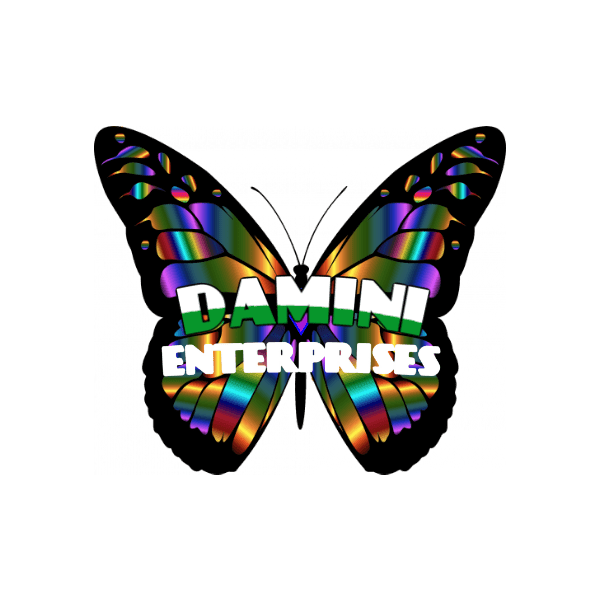 Damini Enterprises
