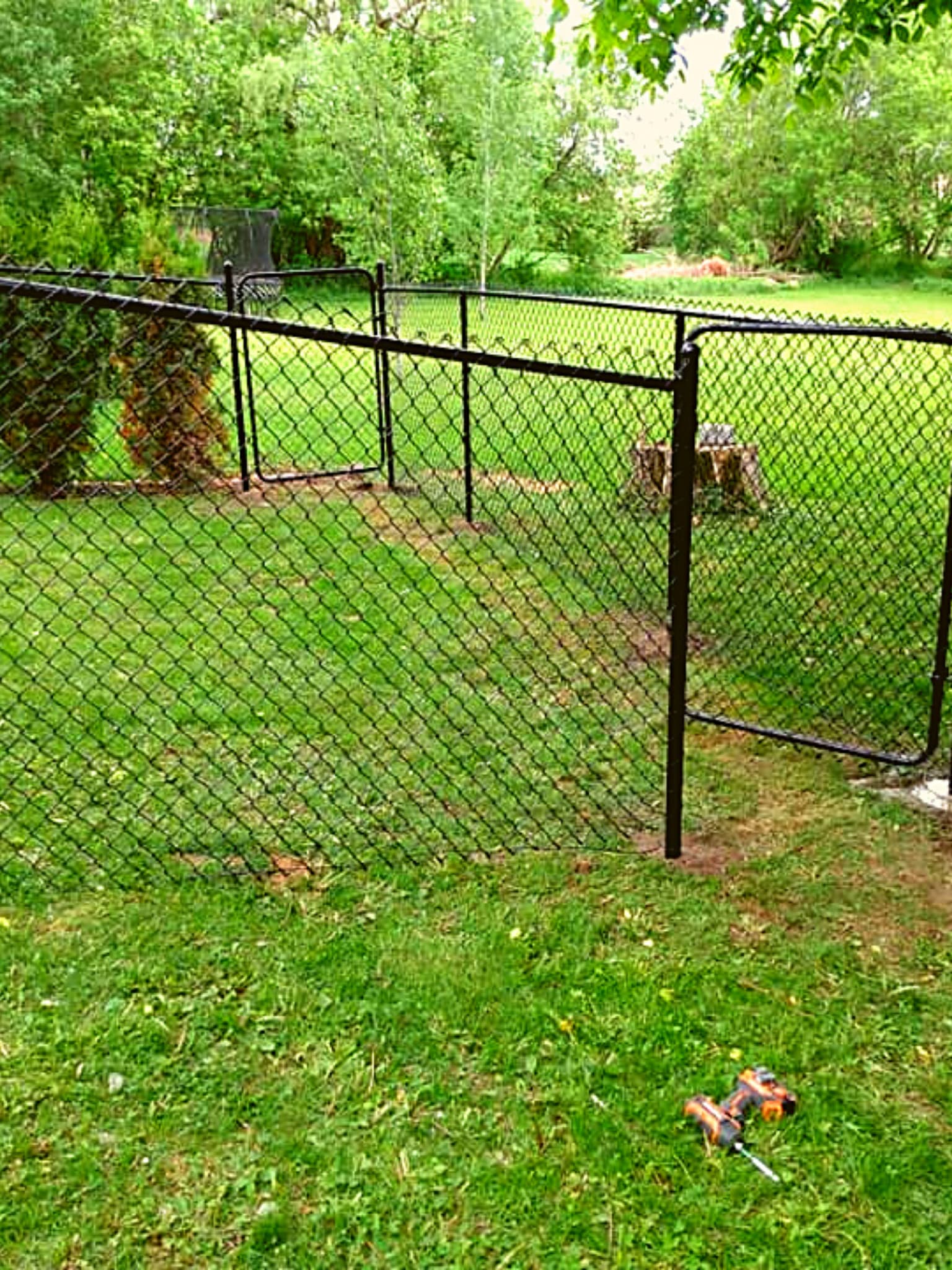 dog getting under chain link fence