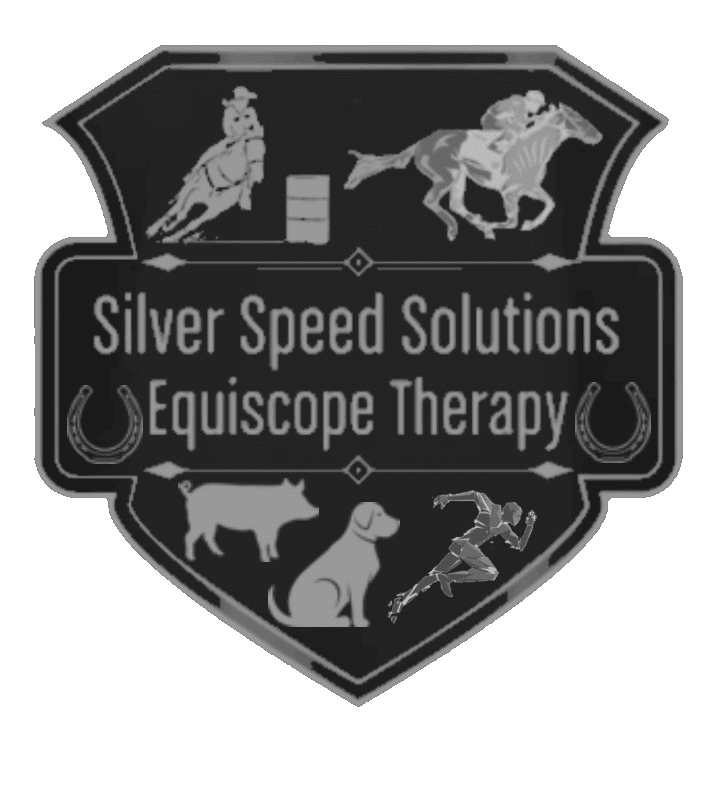 Silver Speed Solutions