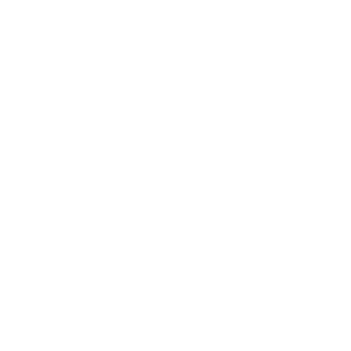 AP Consulting ING