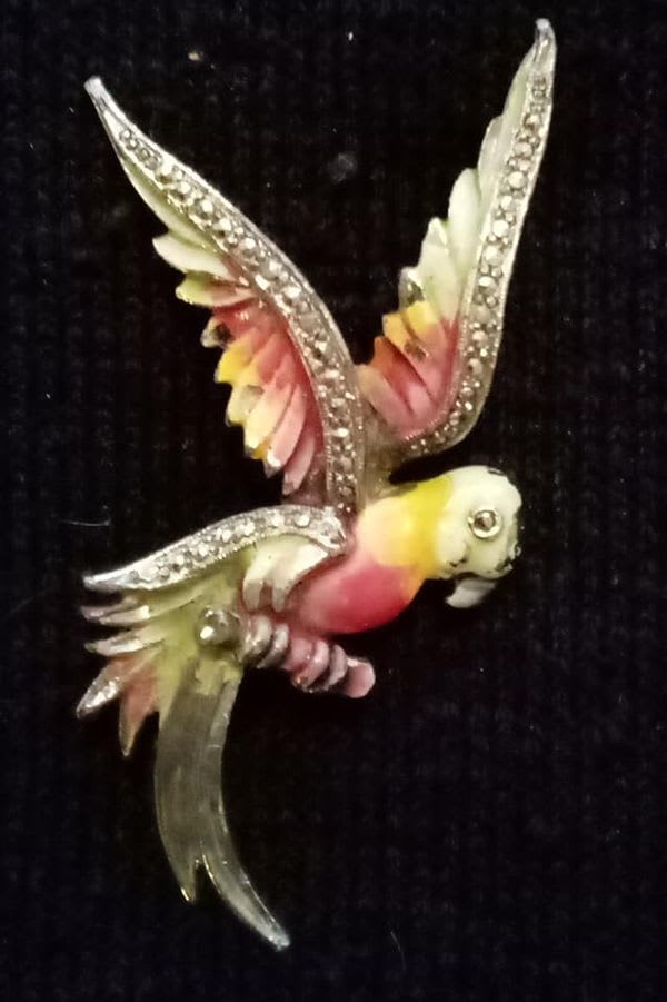 Vintage 1950s? Enamel Parrot Brooch Brooches Reclaimed