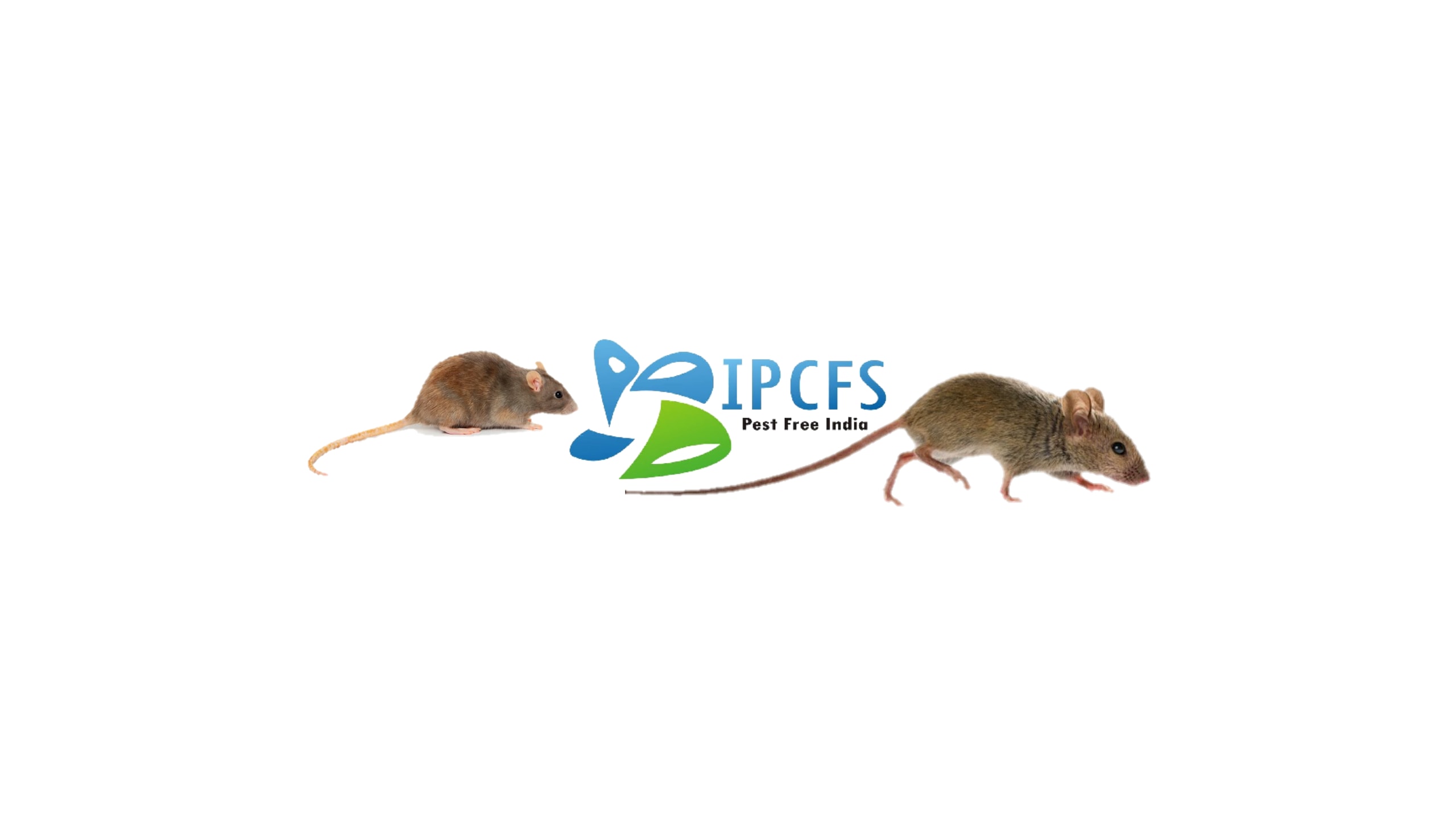 INDIA PEST Control & Fumigation Services (Expert in Termite Treatment)