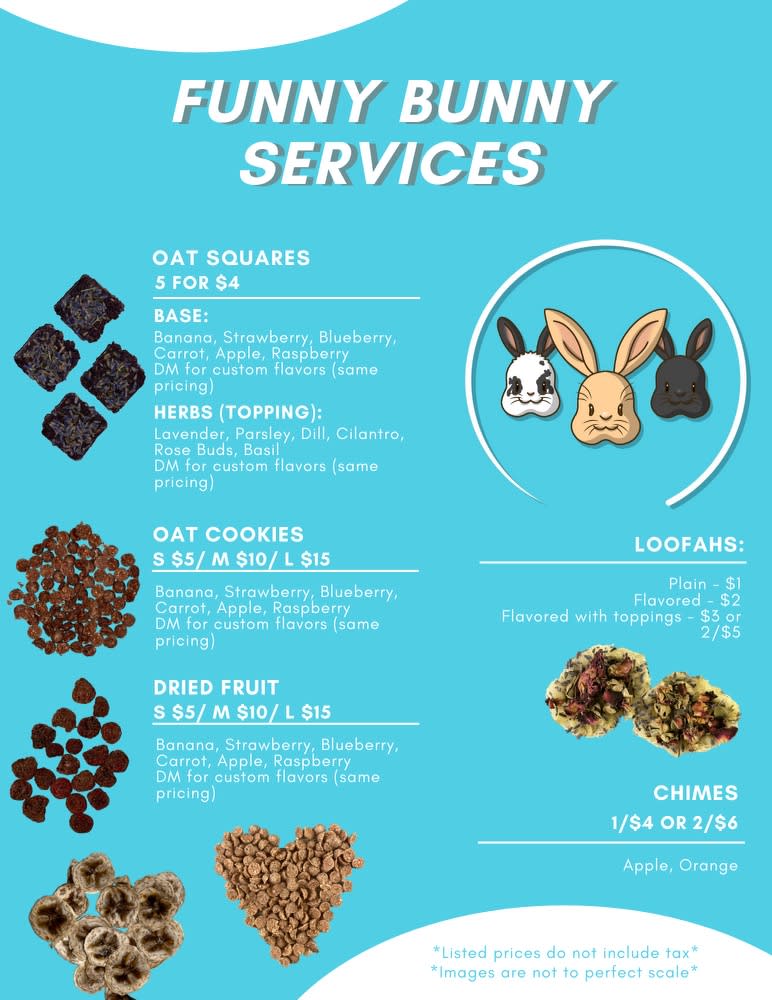 Funny Bunny Services Pet Grooming Toronto