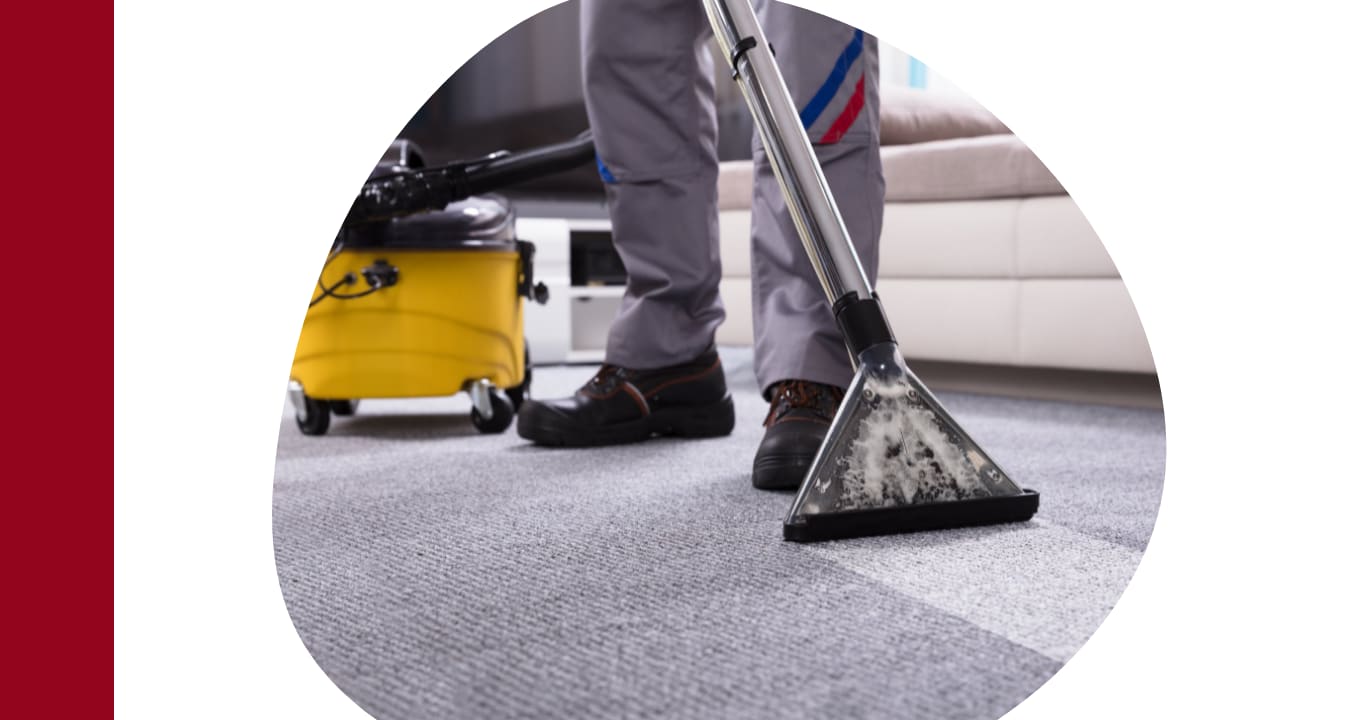 A1 Professional Carpet Cleaning Services - Carpet Cleaner Aiken