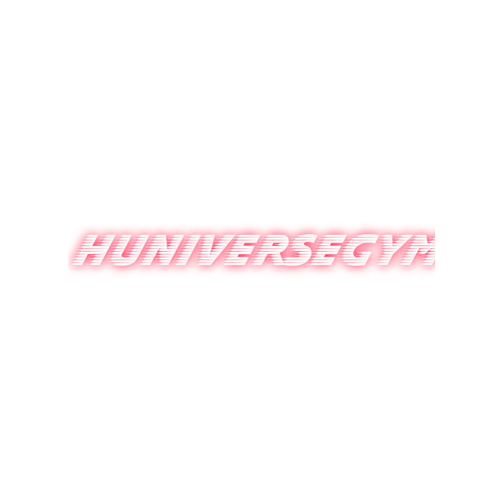 Huniversegym