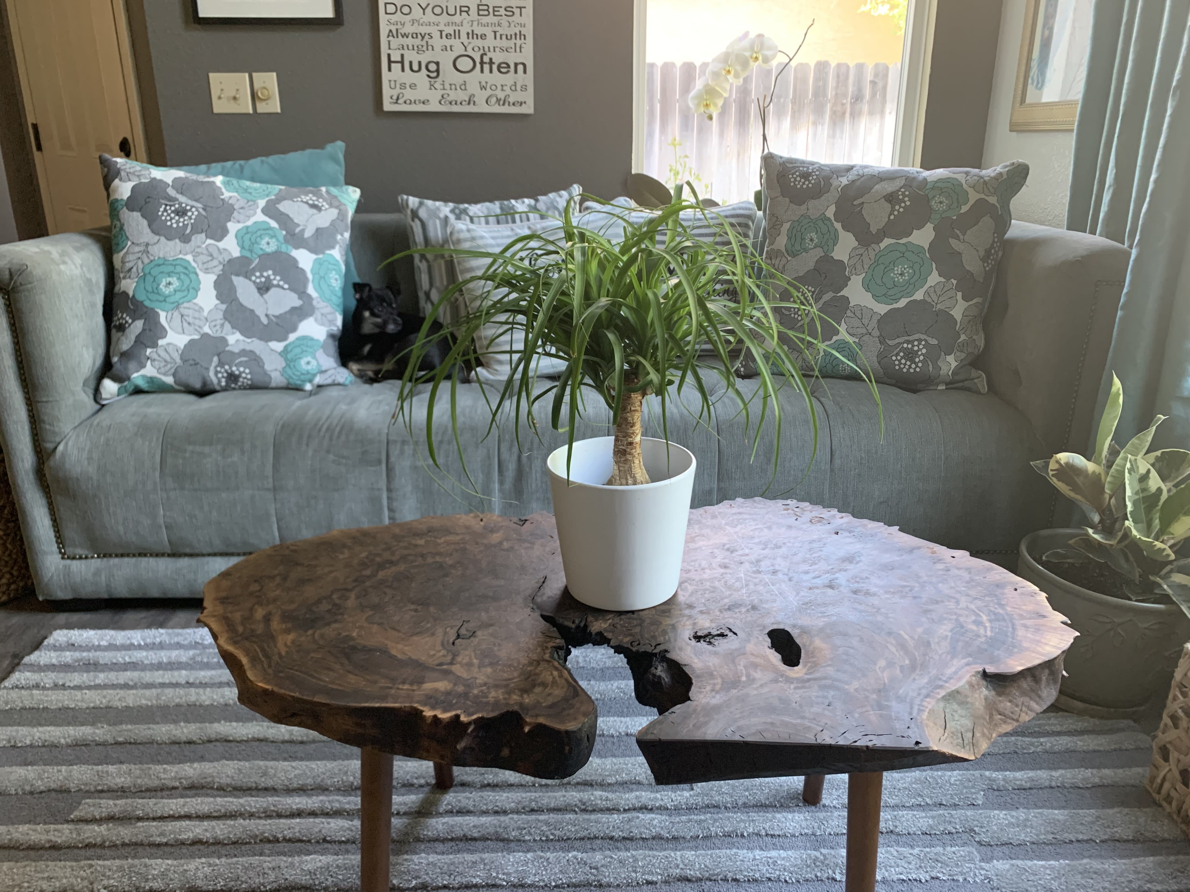 Hand crafted black walnut coffee table - Handmade Furniture - Mattressadam  | Mattress and Custome Furniture in Rancho Cordova, image size:4032x3024