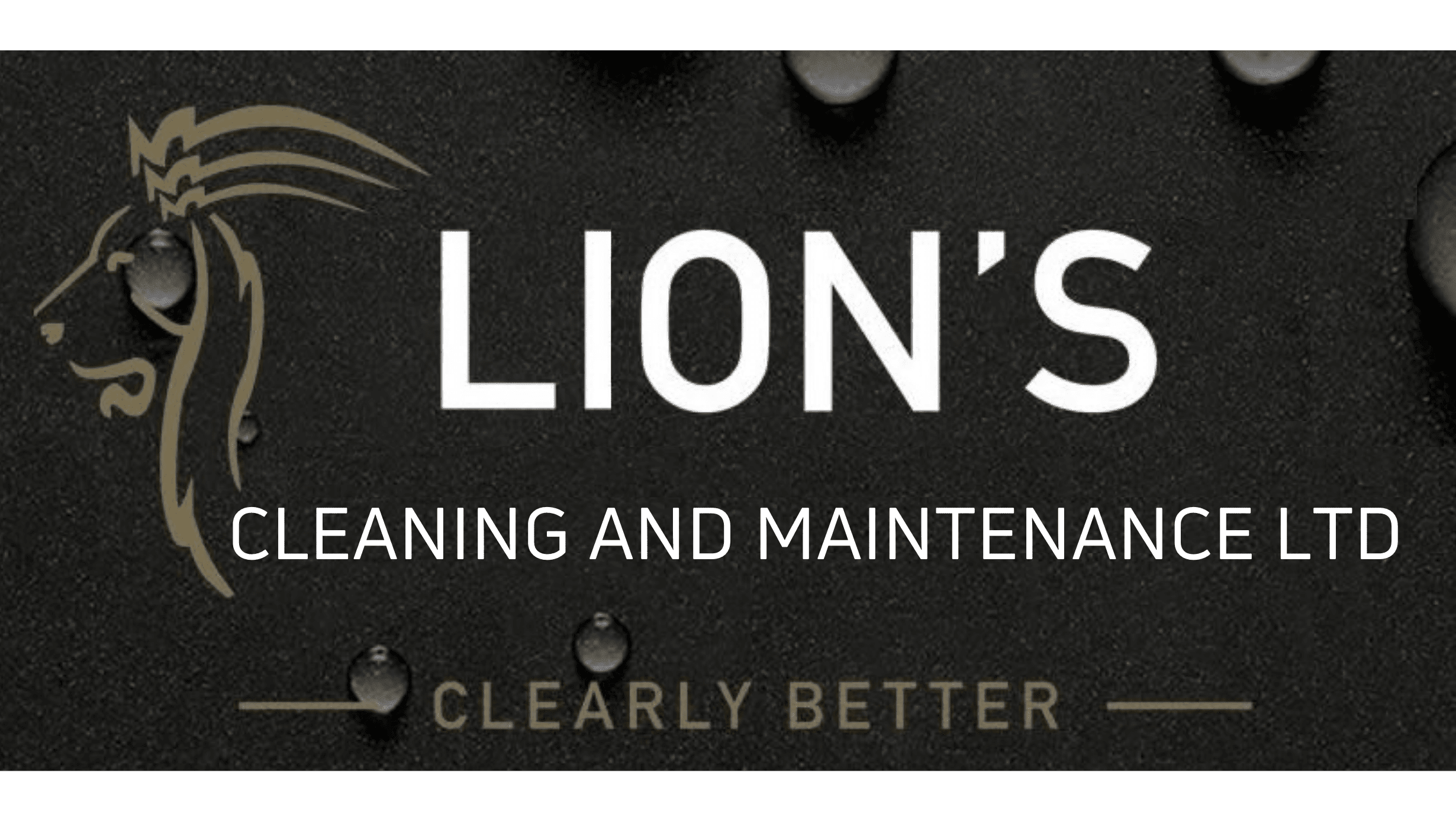 Lion's Cleaning and Maintenance Ltd