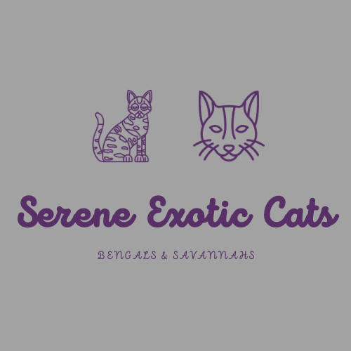 Serene Exotic Cats