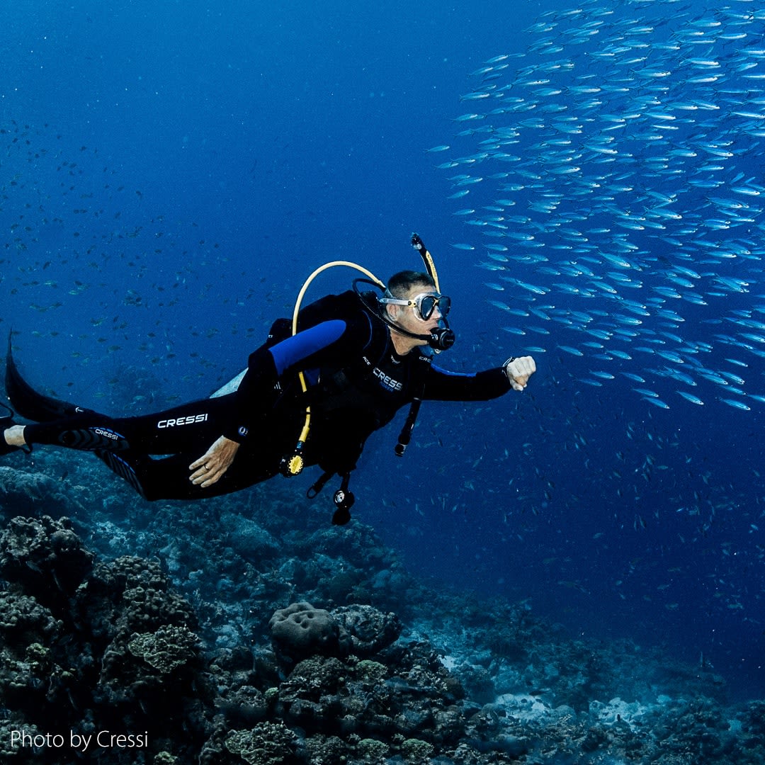 El Chimo BUCEO EL CHIMO - Tours - Cosmic Divers Vallarta | Clases de buceo ...