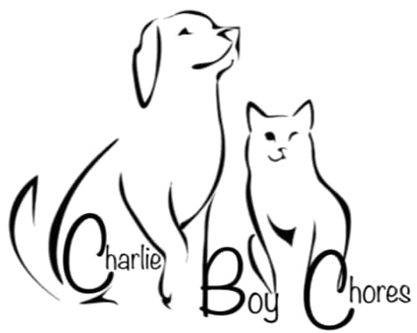 Charlie Boy Chores