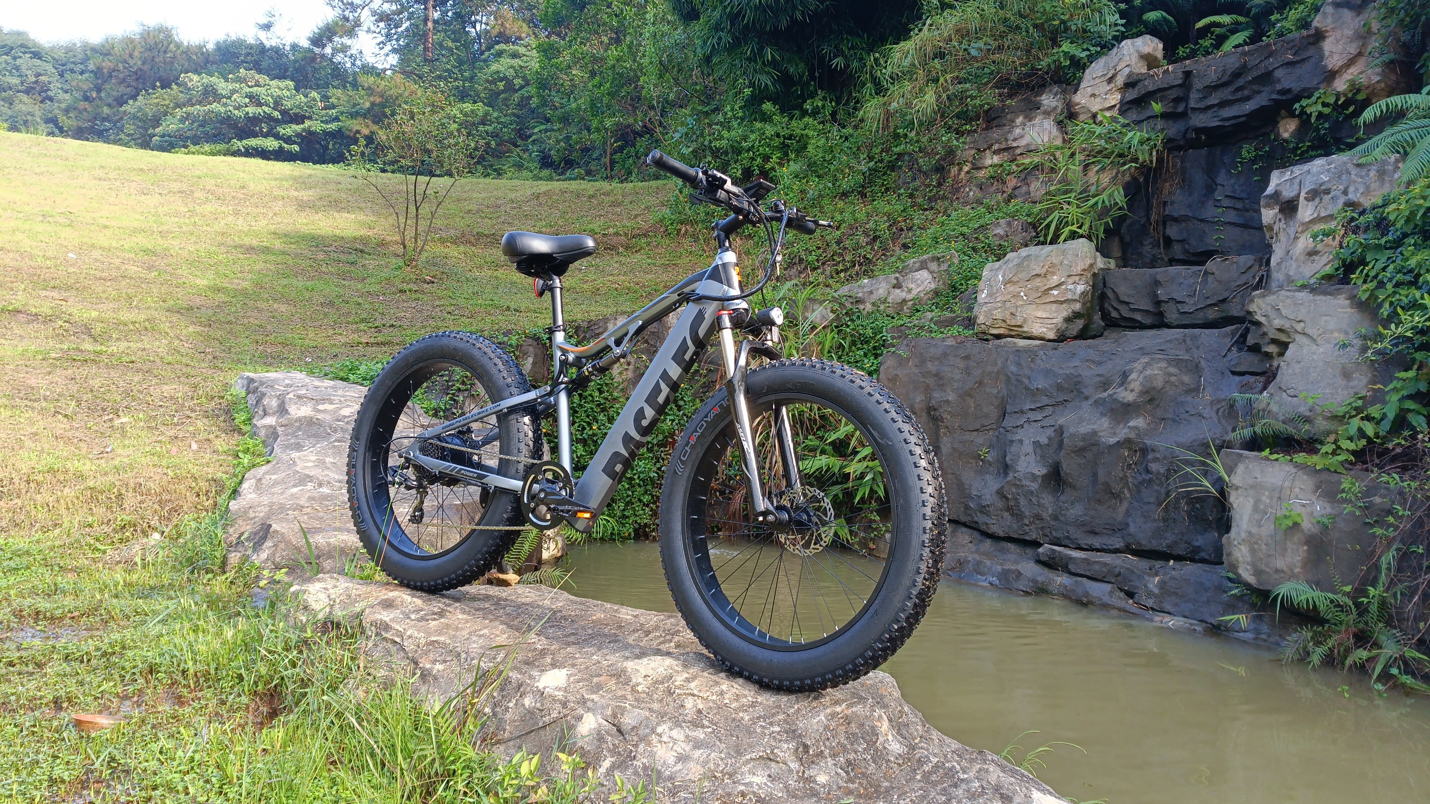 paselec gs9 electric mountain bike