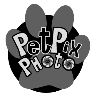 Pet Pix Photo - Pet Photography by Louise