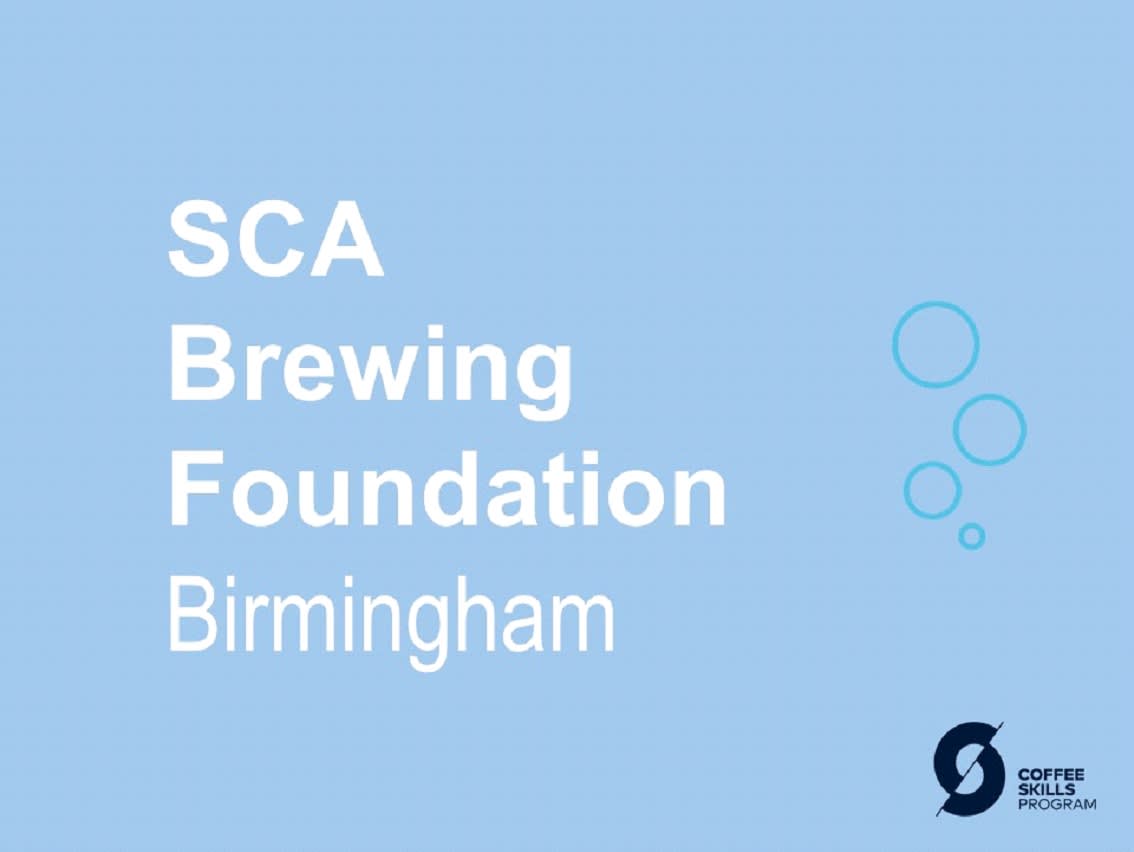 Brewing Foundation Coffee Training Course Trader Cafe Cafe in