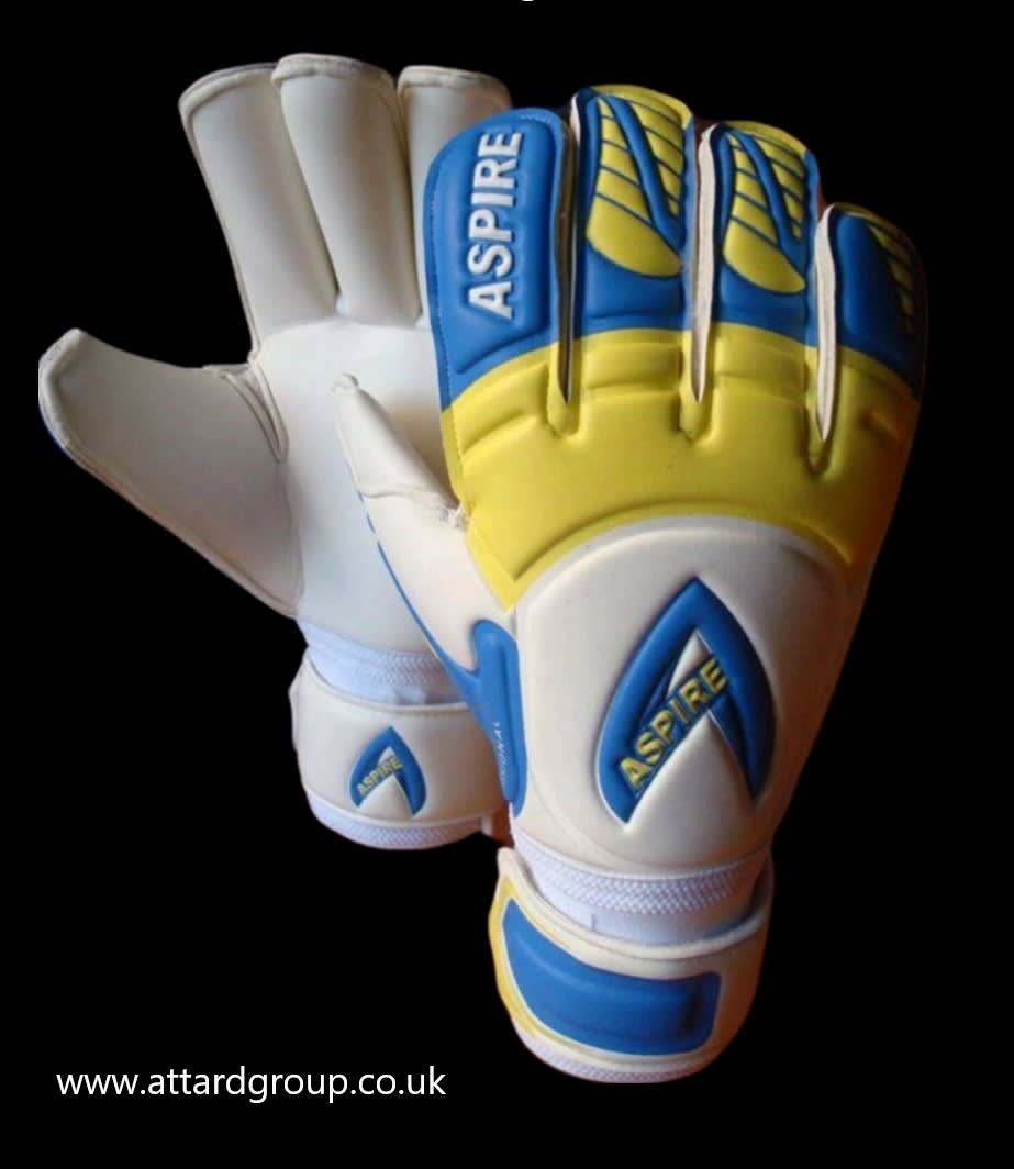 aspire goalkeeper gloves