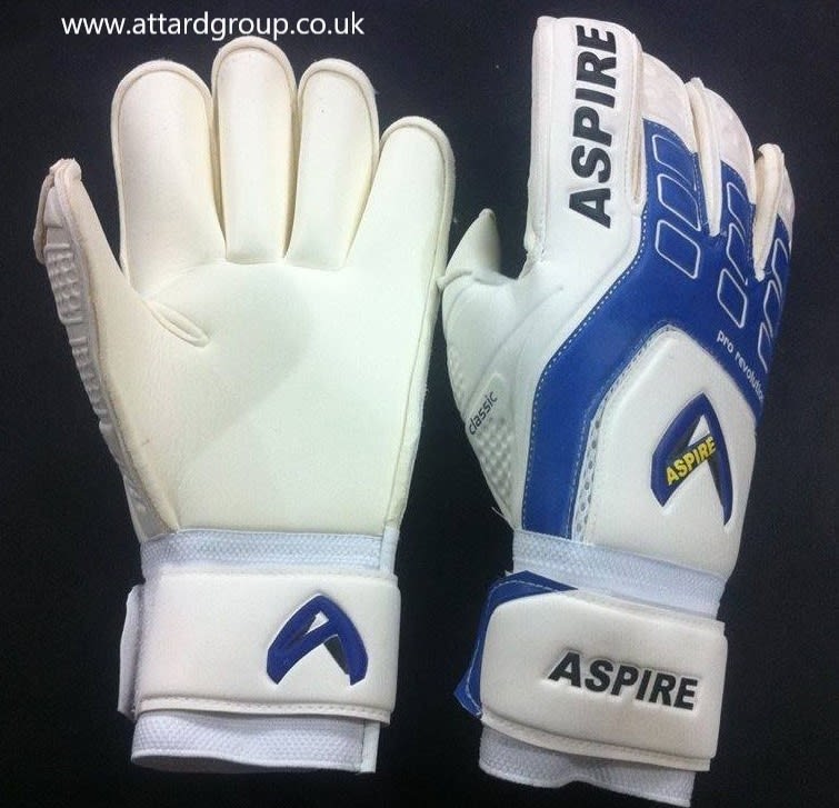 aspire goalkeeper gloves